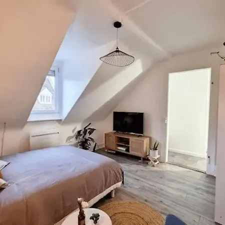 Soh Rent Saint Florent Διαμέρισμα Στρασβούργο